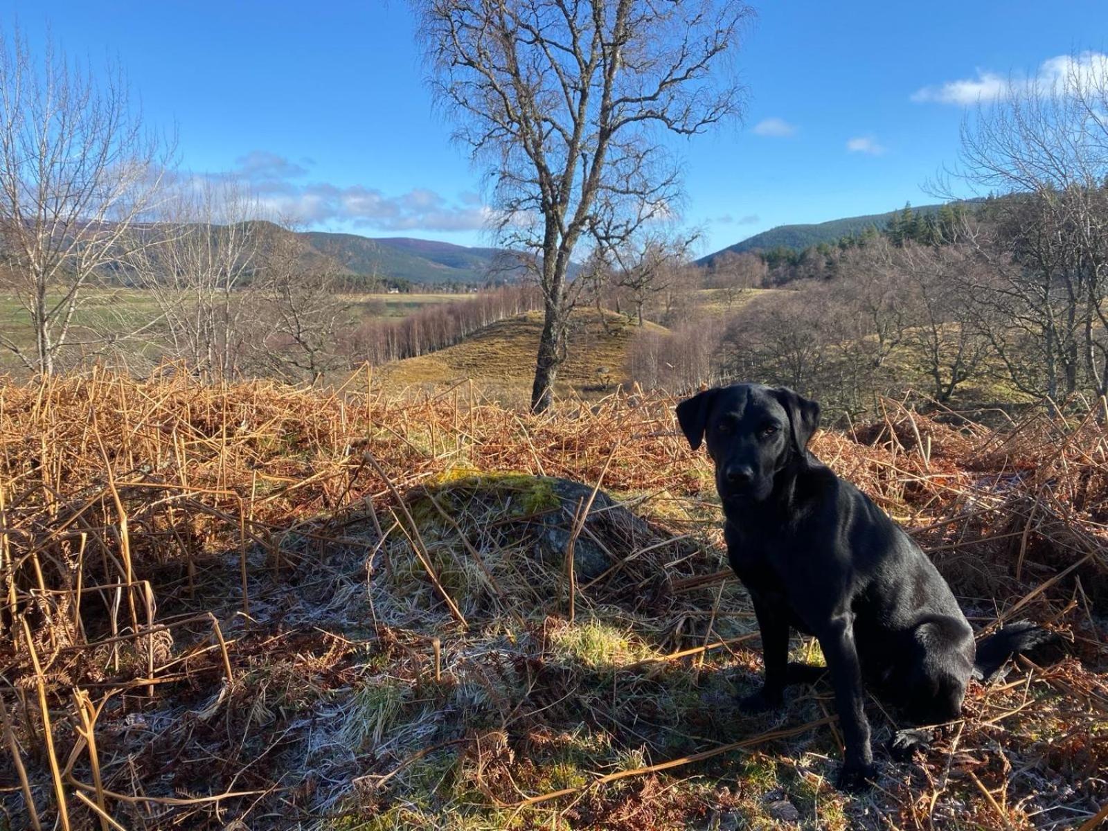 Cairn Leuchan Casa vacanze Ballater